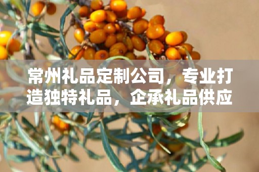 常州礼品定制公司，专业打造独特礼品，企承礼品供应链引领行业新风尚