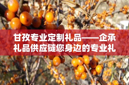 甘孜专业定制礼品——企承礼品供应链您身边的专业礼品定制公司