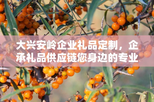 大兴安岭企业礼品定制，企承礼品供应链您身边的专业礼品定制公司